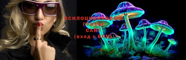 а пвп мука Бутурлиновка