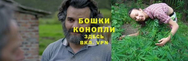 твердый Нягань
