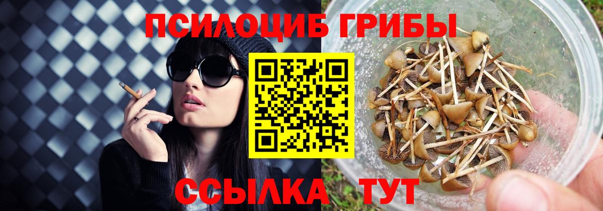 Псилоцибиновые грибы Psilocybe  Вход с VPN  Астрахань 
