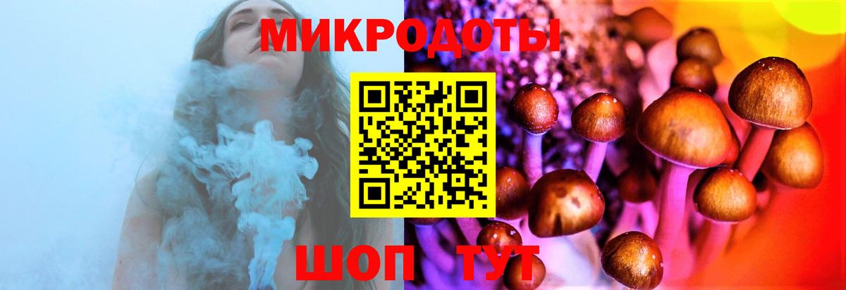 Галлюциногенные грибы Psilocybine cubensis Астрахань